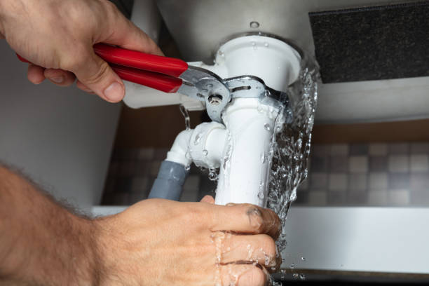 Best Water damage cleanup near me  in Bonanza, GA