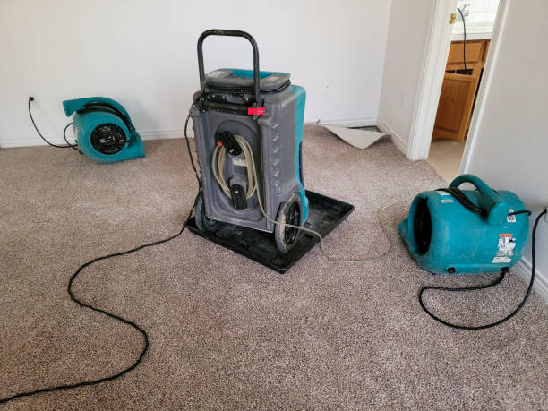 Best Water damage restoration specialists  in Bonanza, GA