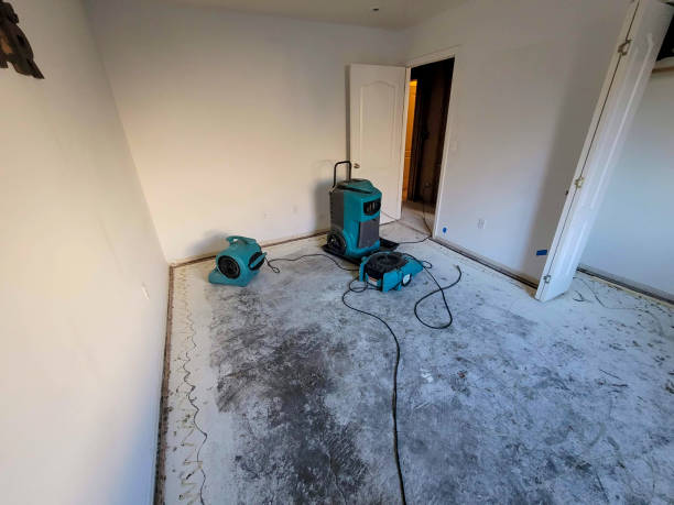 Best Local water damage restoration  in Bonanza, GA