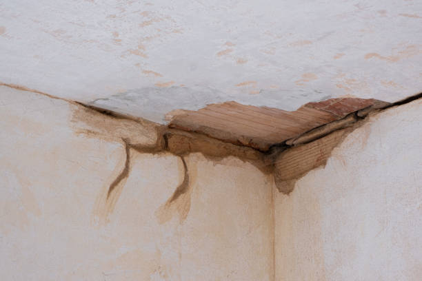 Best Commercial water damage restoration  in Bonanza, GA