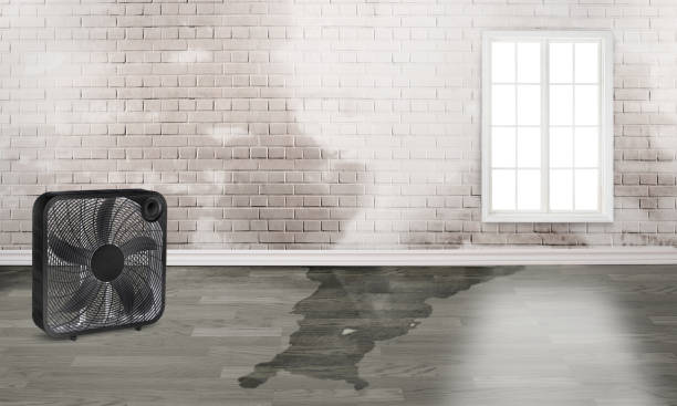 Water damage restoration mold remediation in GA