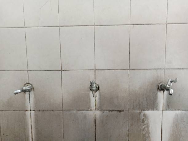 Best Water damage contractors near me  in Bonanza, GA