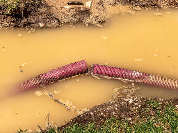 Water damage restoration experts in GA