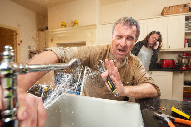 Best Flooded house restoration  in Bonanza, GA